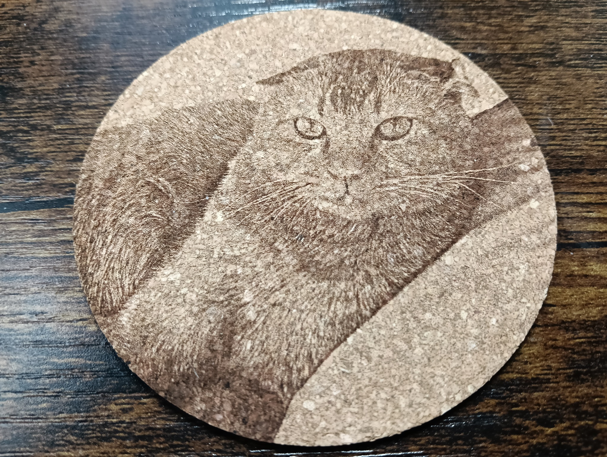 谷保ねこ 猫カフェ 猫のいる休憩室