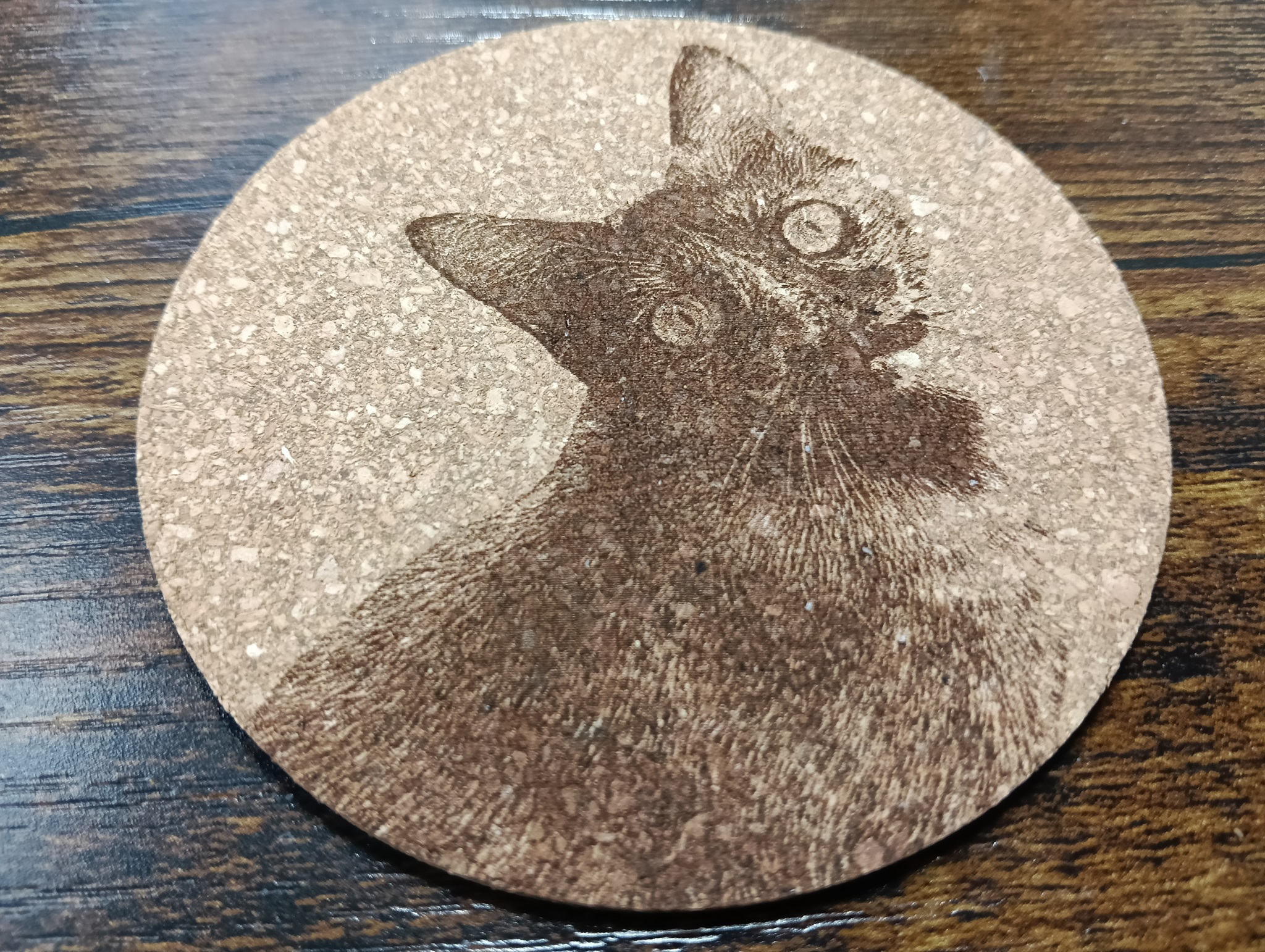 谷保ねこ 猫カフェ 猫のいる休憩室