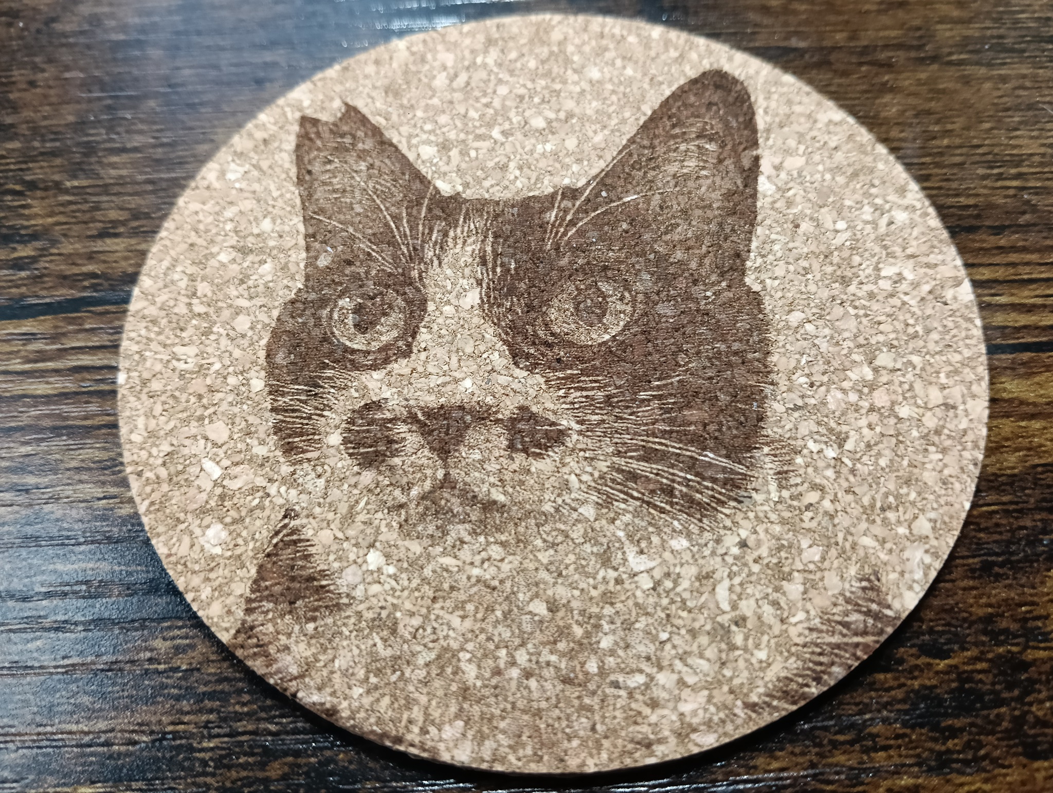 谷保ねこ 猫カフェ 猫のいる休憩室