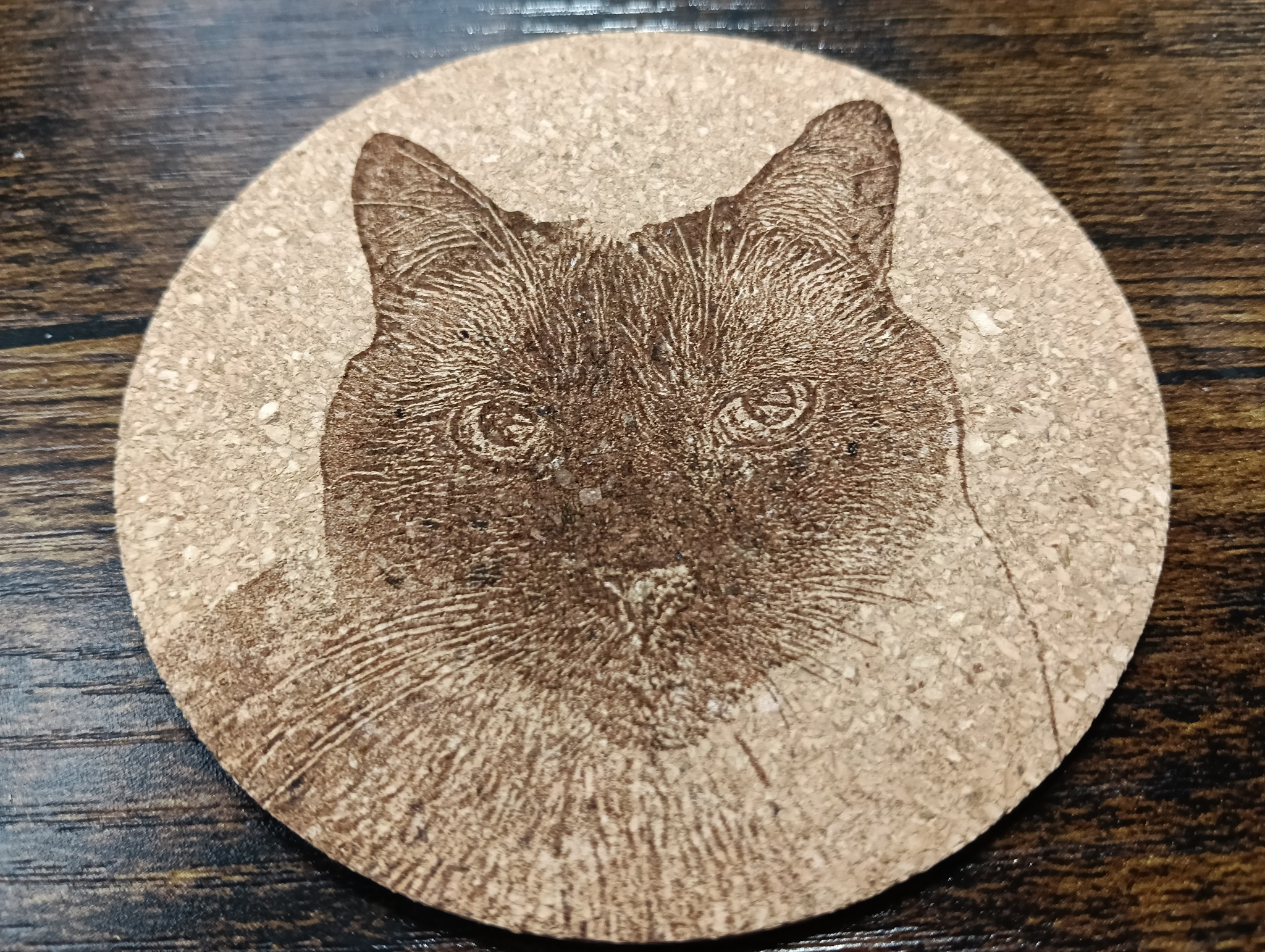 谷保ねこ 猫カフェ 猫のいる休憩室