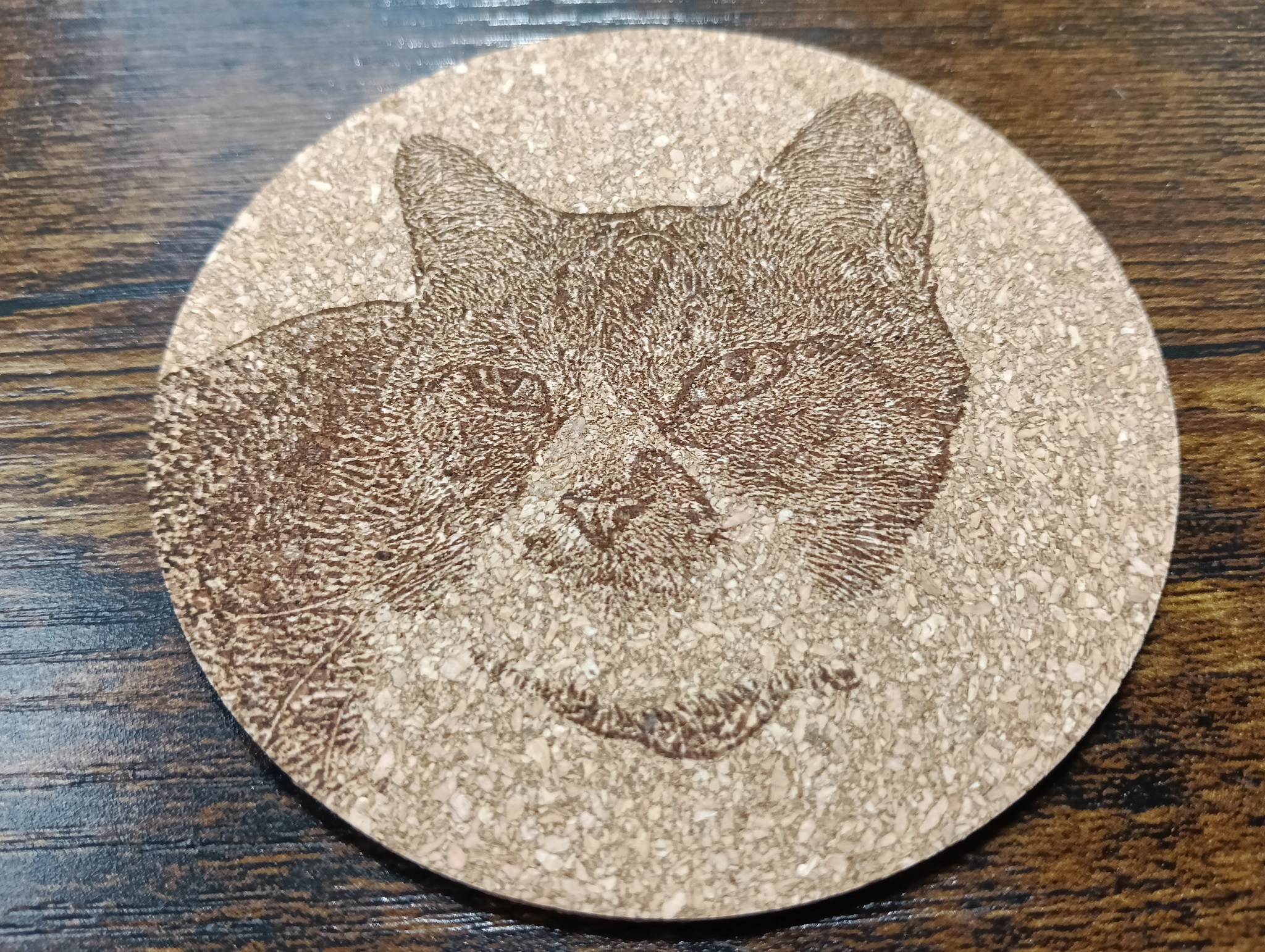 谷保ねこ 猫カフェ 猫のいる休憩室