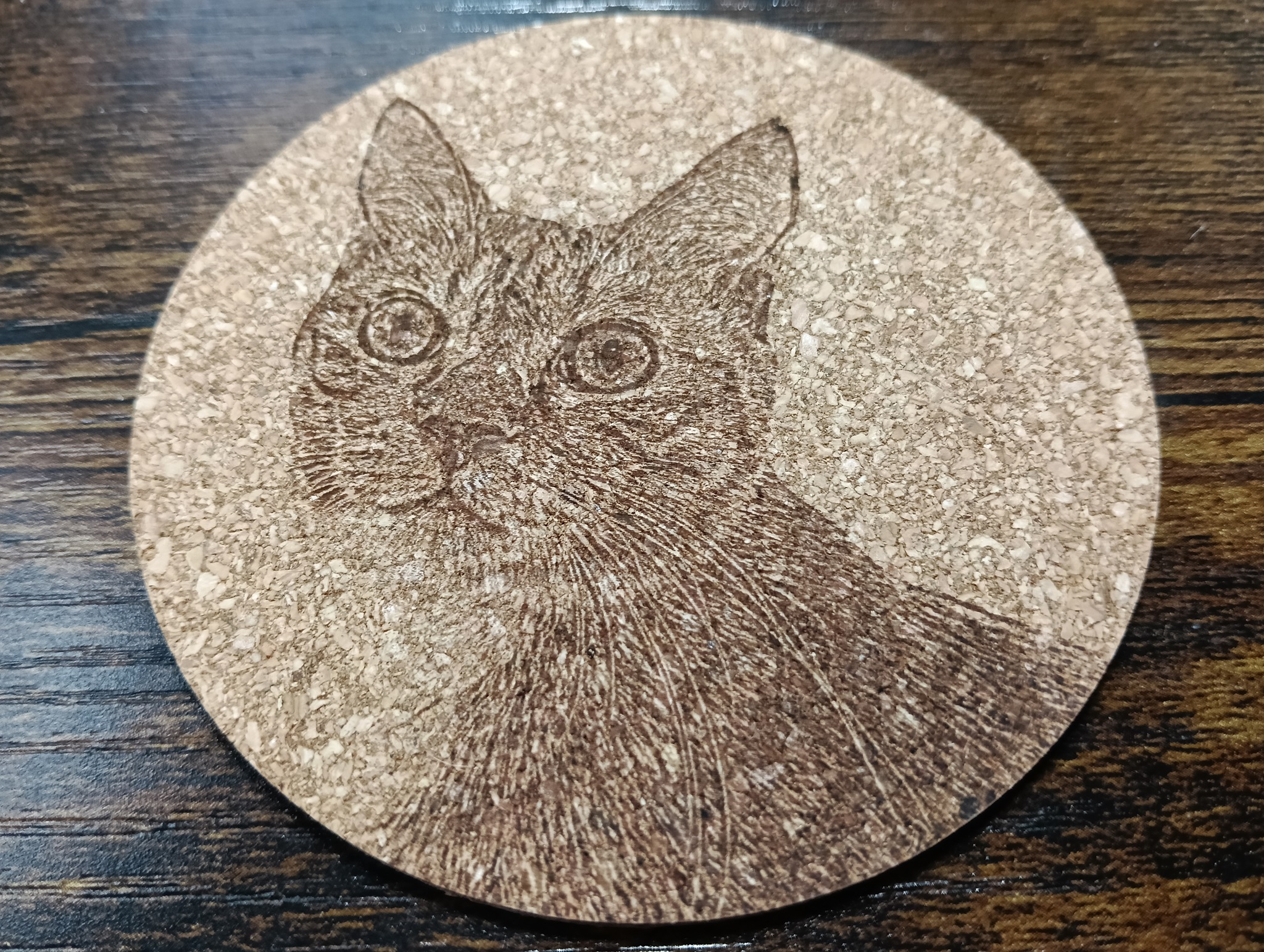 谷保ねこ 猫カフェ 猫のいる休憩室