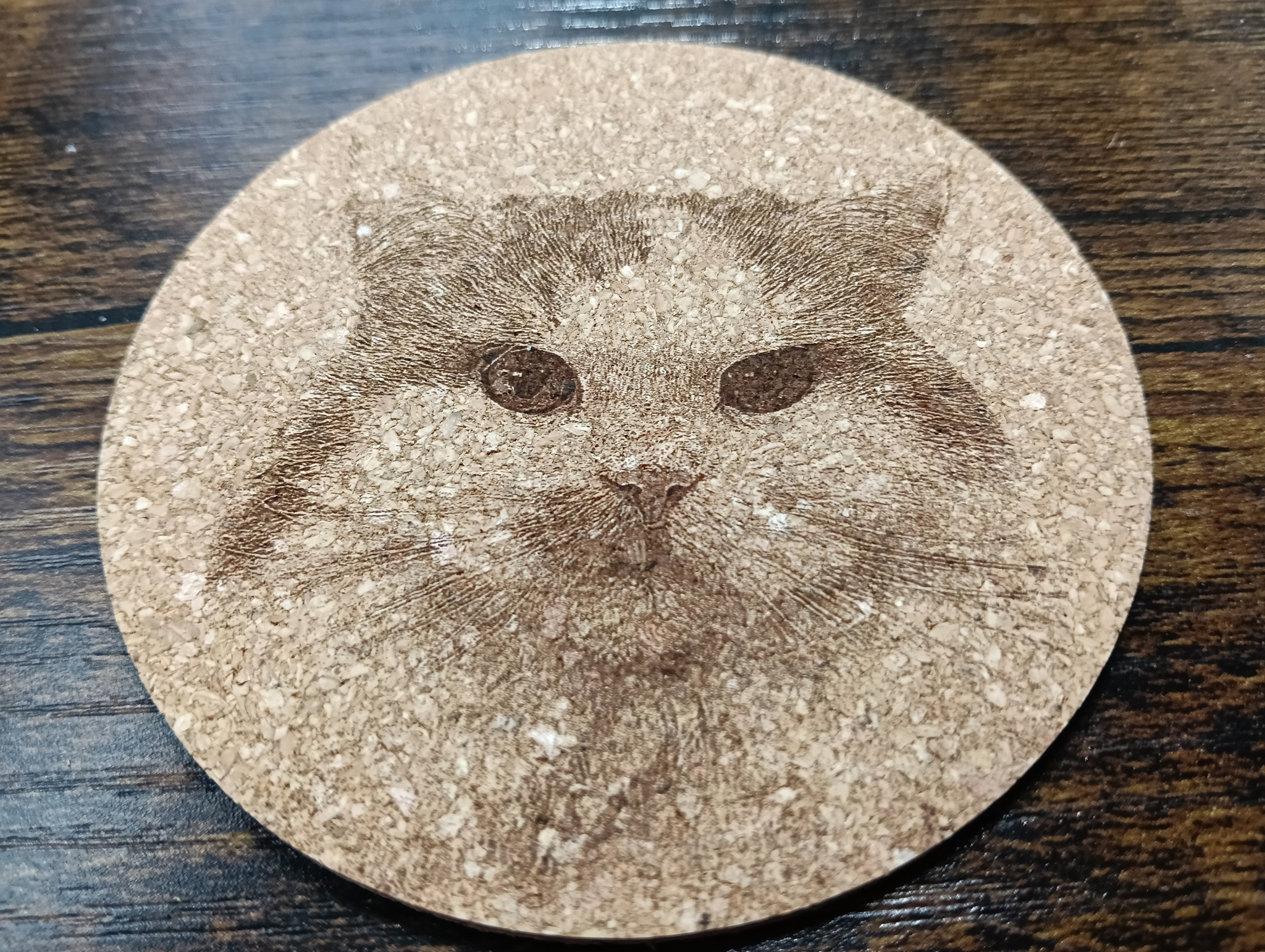 谷保ねこ 猫カフェ 猫のいる休憩室