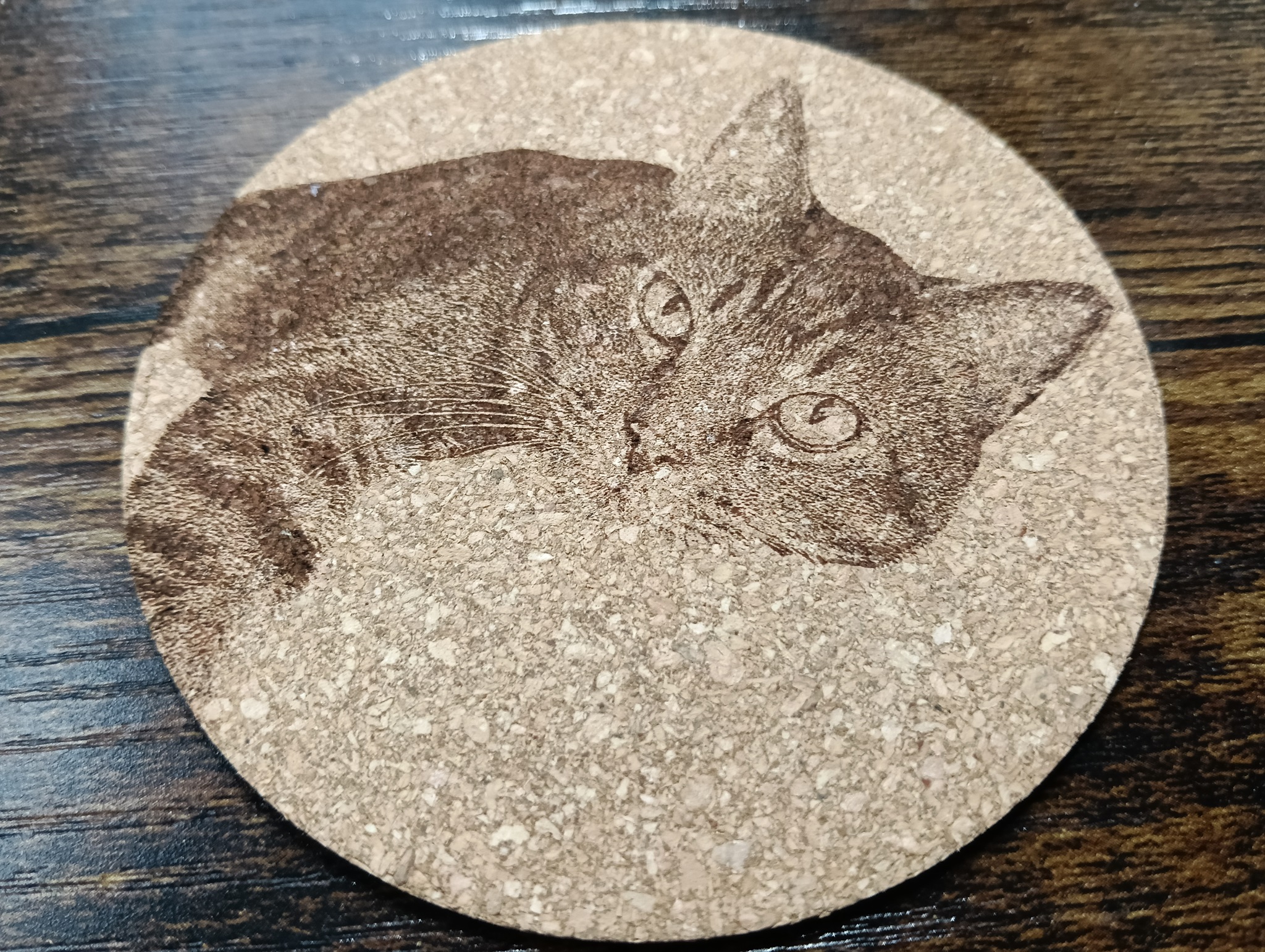 谷保ねこ 猫カフェ 猫のいる休憩室